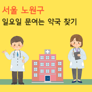 서울 노원구 일요일 문여는 약국