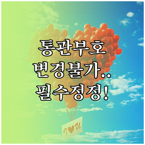 개인통관고유부호 변경 불가 핵심 정보..