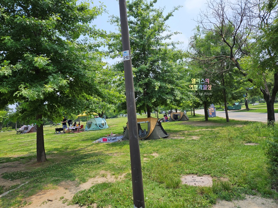 여의도 한강공원 피크닉 텐트 데이트 대여 후기 가격
