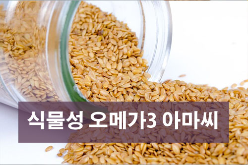 식물성 오메가3 들개, 호두, 아마씨 먹는 방법