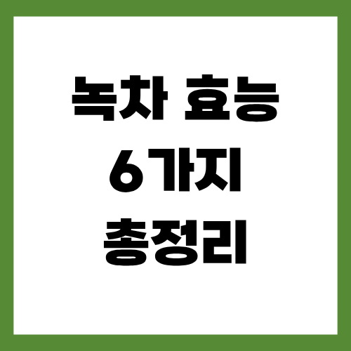 녹차 효능 6가지 총정리