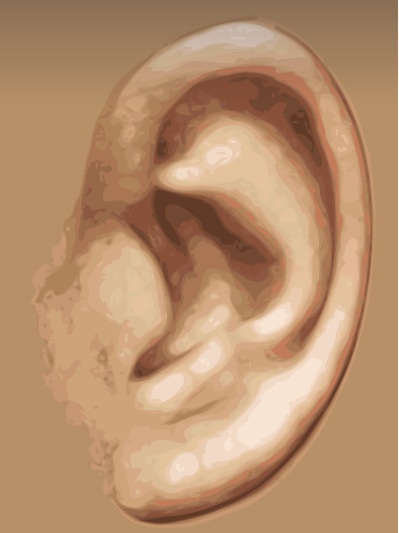 선청성 이루공 설명 귀모습