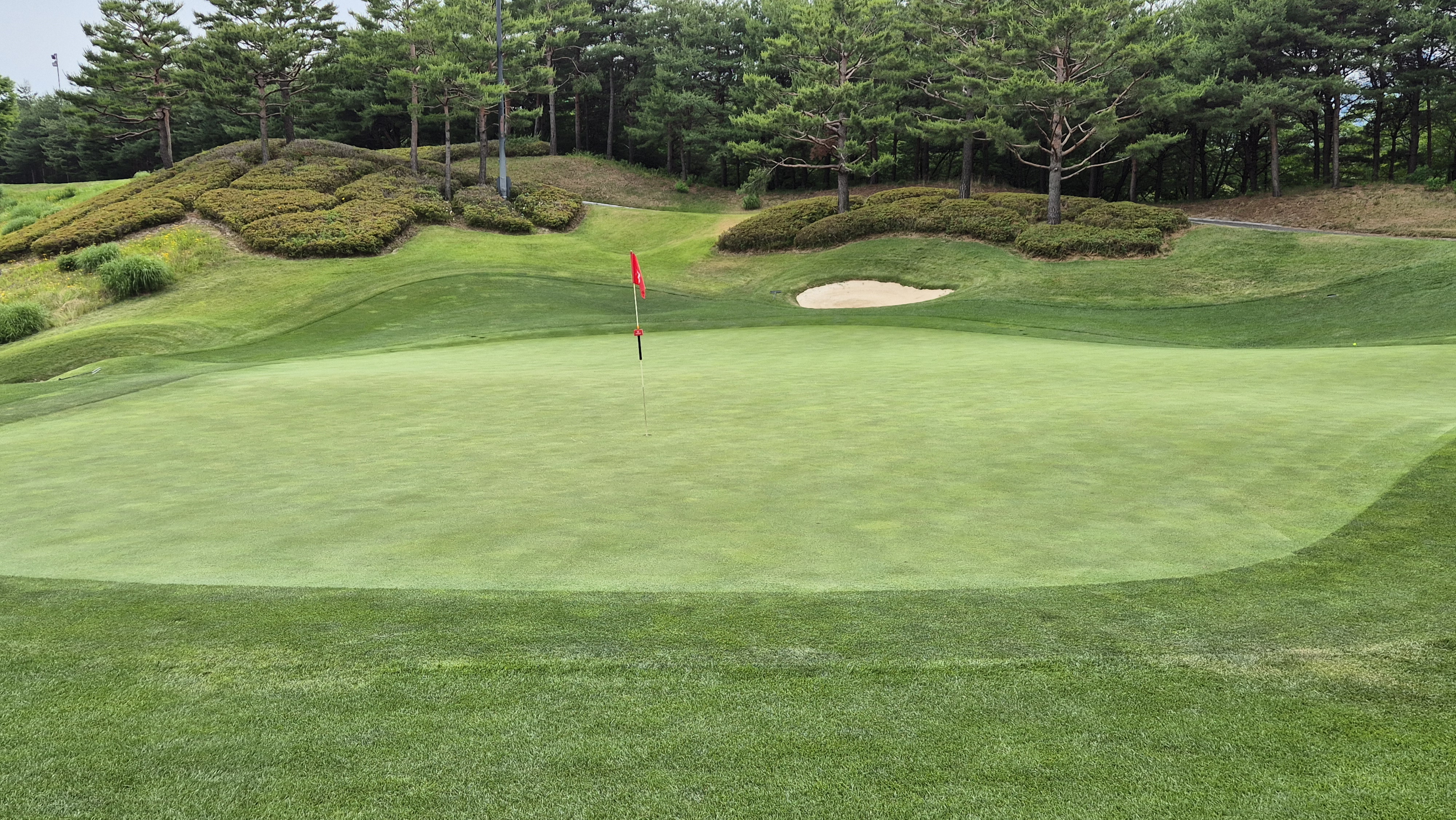 파인리즈cc 라운드 후기