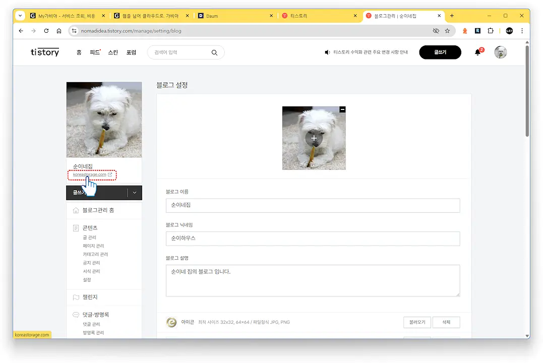 도메인 연결하기