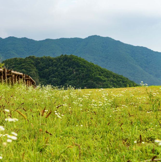 고모산성