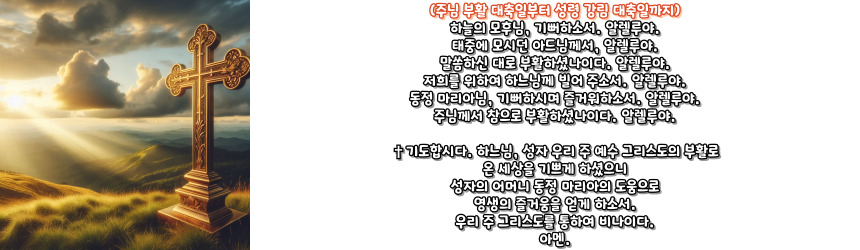 천주교 부활 삼종 기도_주요 기도문