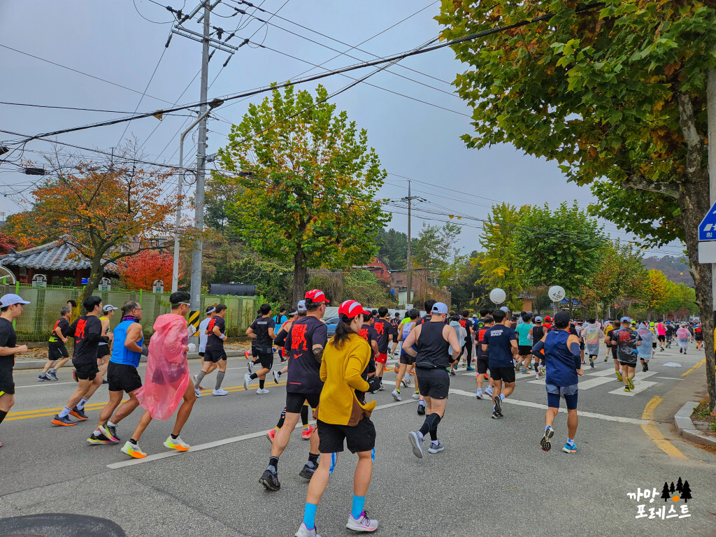 춘천 마라톤