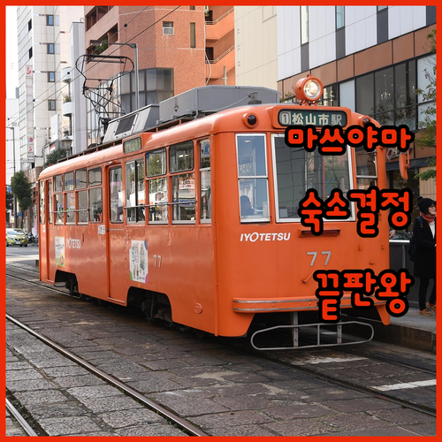 마쓰야마 자유여행 숙소 선택 팁과 인..