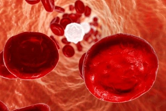 호중구 정상수치