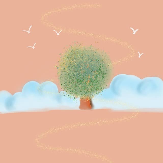 사회복지사 1급 응시자격