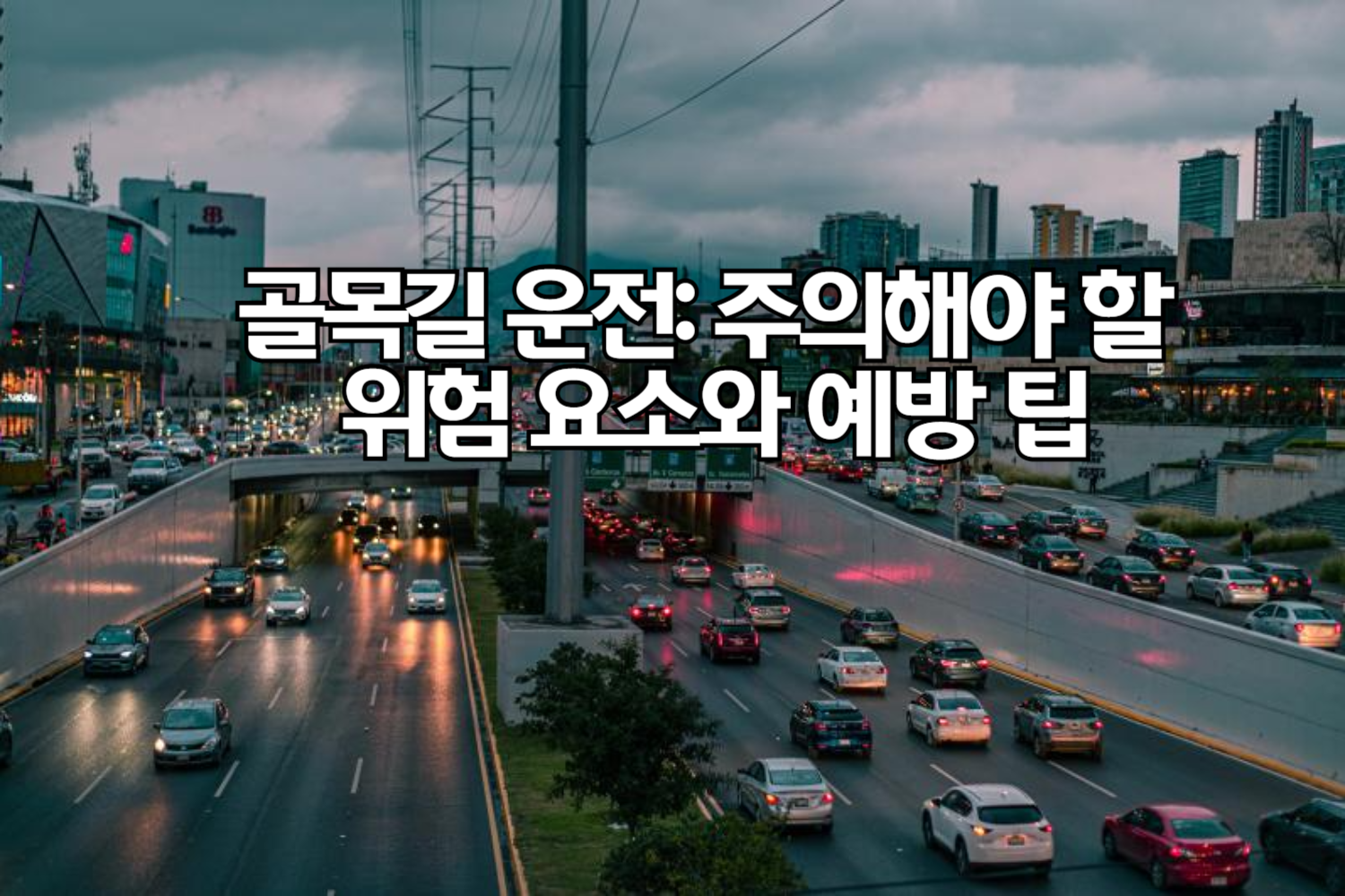 골목길 운전: 주의해야 할 위험 요소와 예방 팁