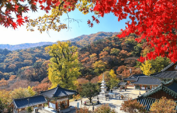 경기도 단풍명소