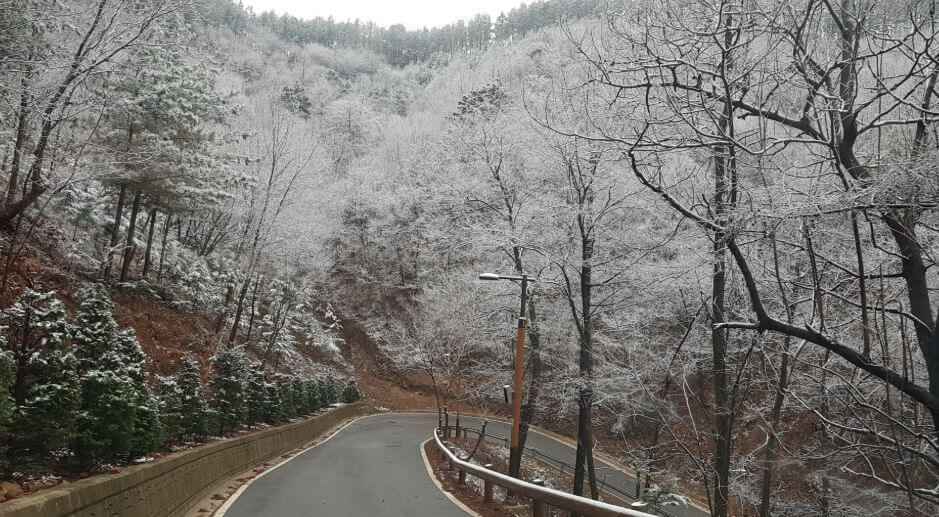 무주 향로산 자연휴양림 예약