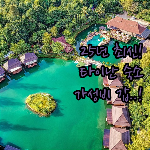 2025년 오픈 예정 타이난 숙소 내..