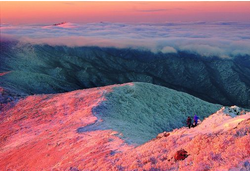 전국 사계절 사진