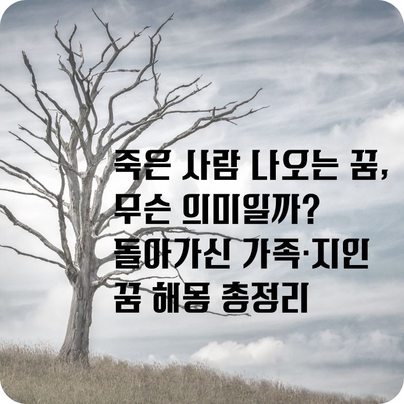 죽은 사람 나오는 꿈, 무슨 의미일까 돌아가신 가족&middot;지인 꿈 해몽 총정리