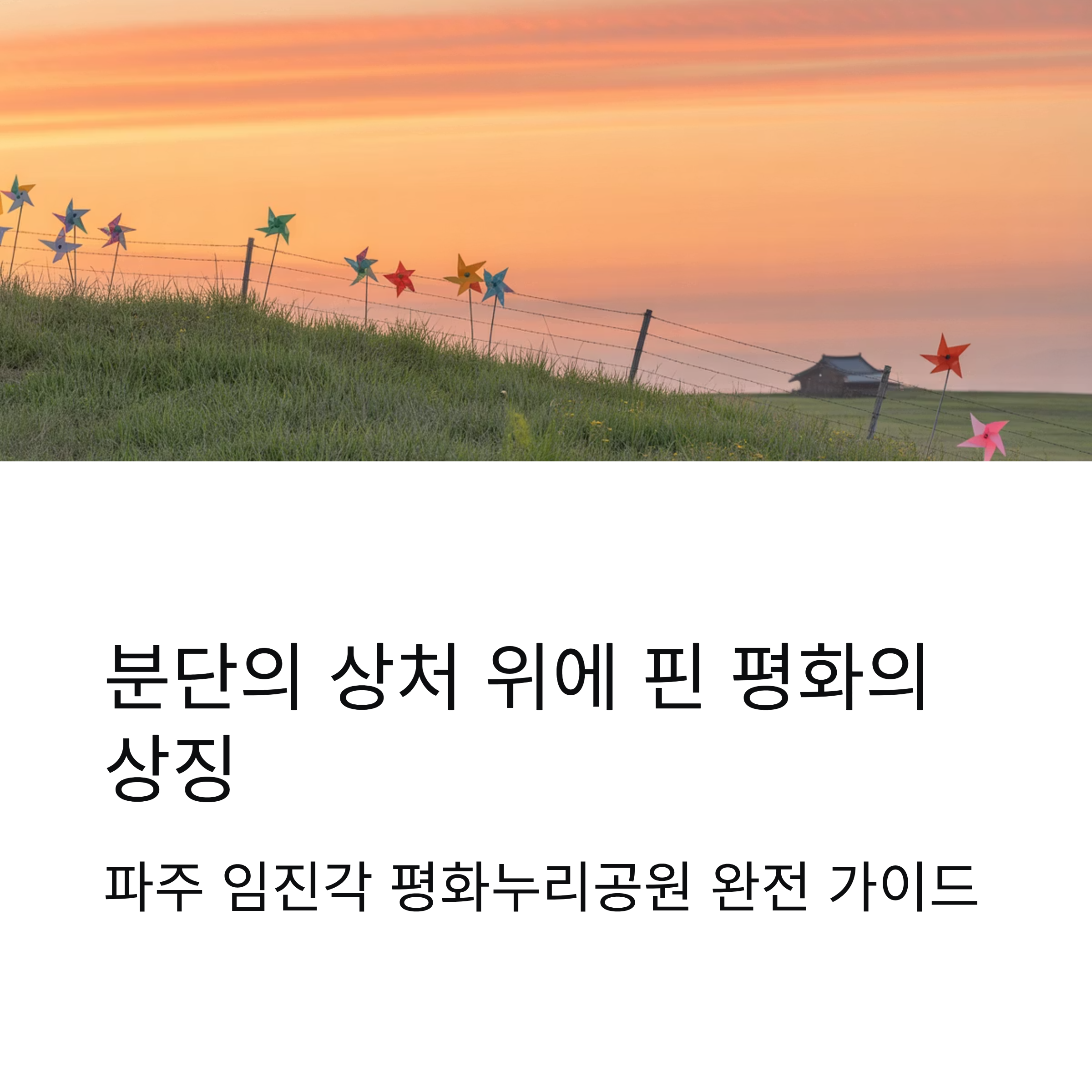 파주 임진각 평화누리공원, 분단의 상처 위에 핀 평화의 상징