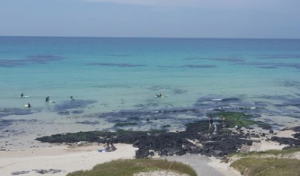 2024년 제주도 해수욕장 BEST 12