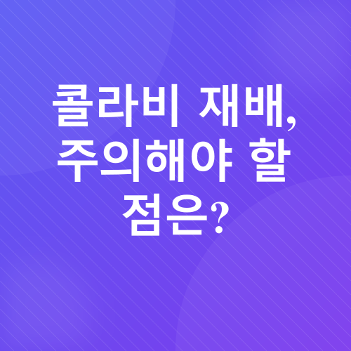 콜라비 재배_4