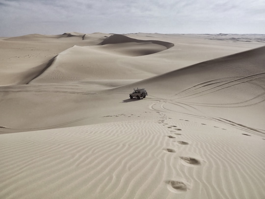 'Truck'