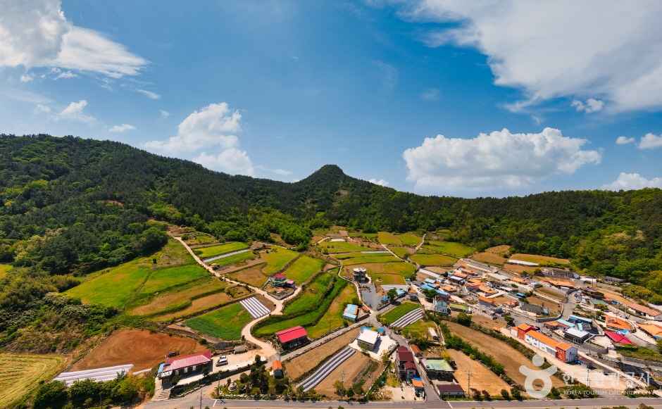 장흥 선학동마을