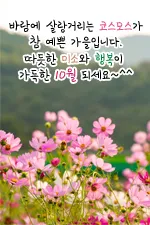 10월 인사말 예시 모음 영어_1