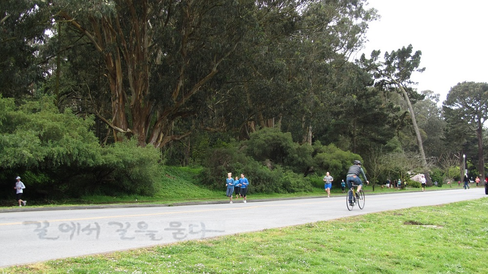 금문공원(Golden Gate Park)