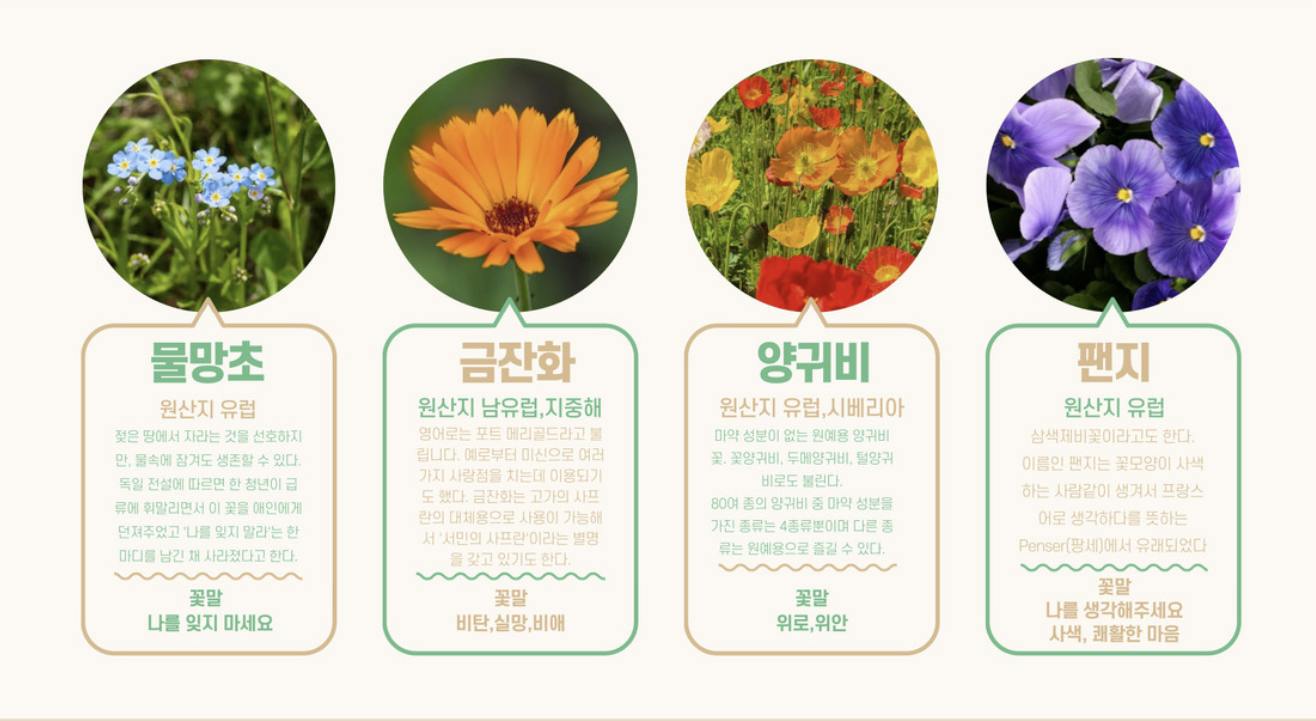 태안 봄꽃정원 일정&amp;#44; 개화 시기&amp;#44; 주차/대중교통 꿀팁