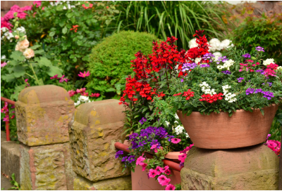 실내 정원 디자인 가이드 🌿: 배치, 식물 선택, 조명, 분위기 연출까지