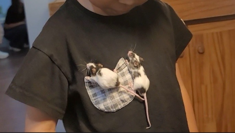 센트럴 곤충 생태농장