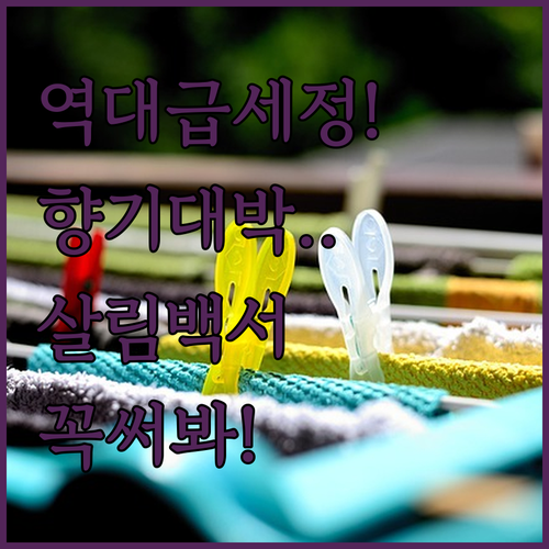 살림백서 프로닥스 캡슐 시트 세탁세제..