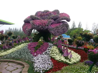 2025 고양국제꽃박람회 일정 사전예약 할인_15