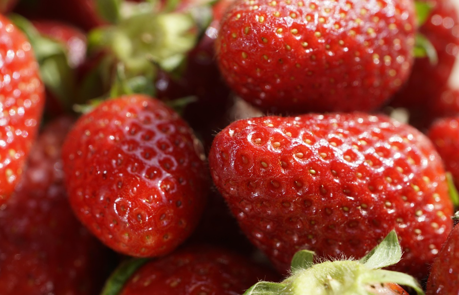딸기의 모습