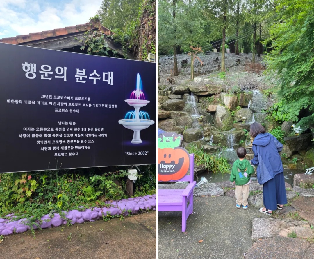 &amp;#39;청도 프로방스&amp;#39; 방문 후기