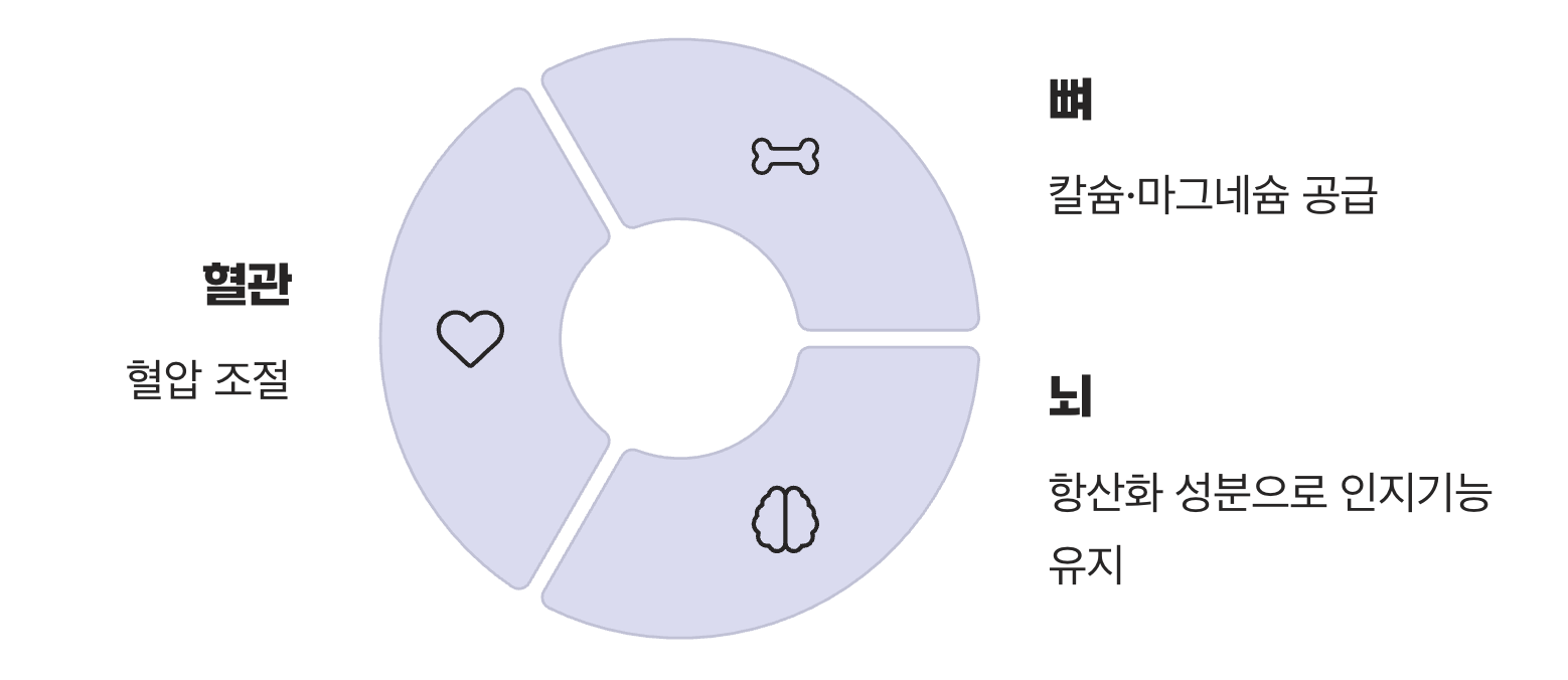 혈관을 넘어, 뼈와 뇌까지 건강하게