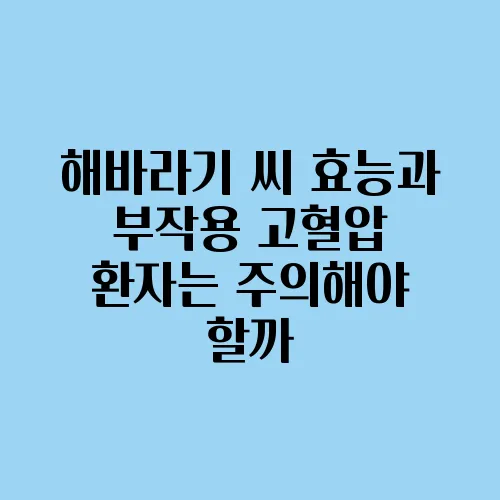 해바라기 씨 효능과 부작용 고혈압 환자는 주의해야 할까