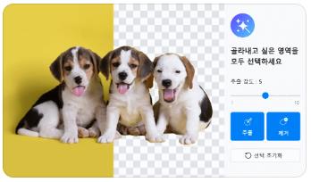 AI 배경제거 beta