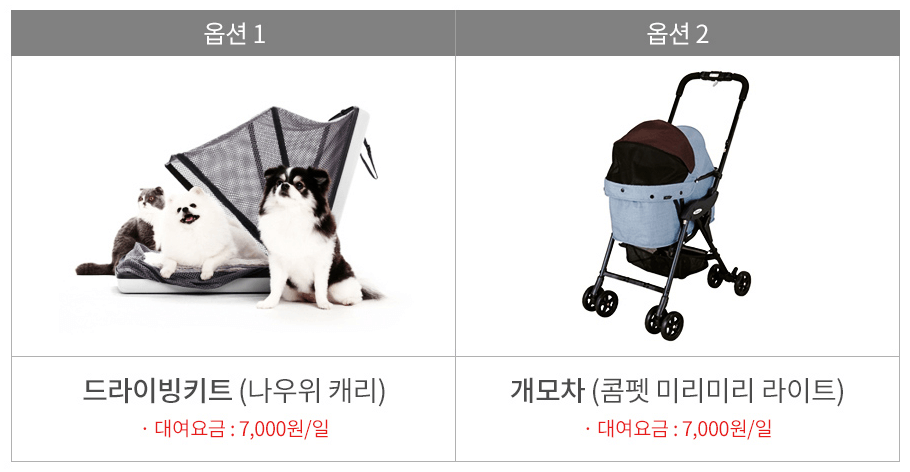 롯데렌트카-강아지유모차