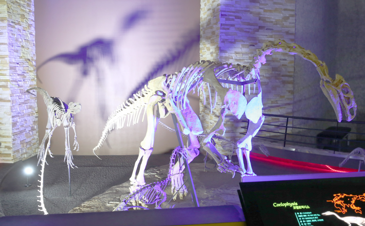 해남 공룡박물관