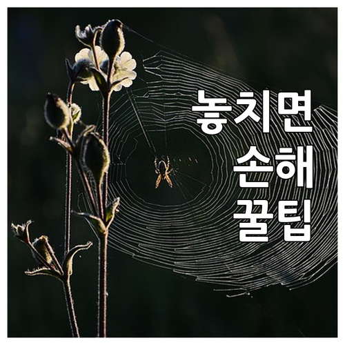 ESTA 인상에도 괌 사이판은 면제?..