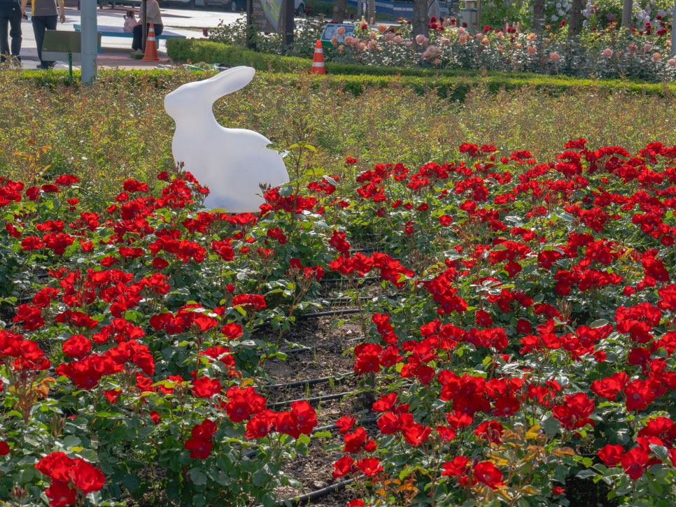 부산 정관 윗골공원
