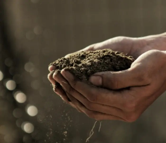 흑염소 주의사항