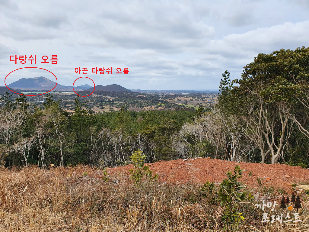 대왕산 정상 풍경