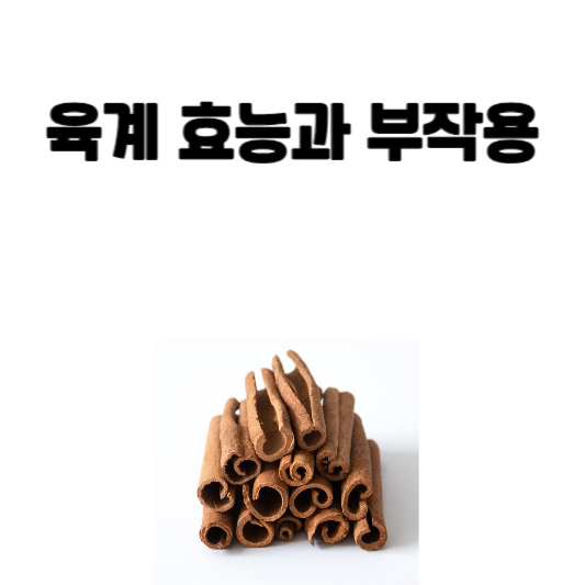육계 효능과 부작용