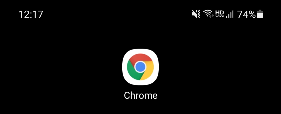 chrome 아이콘
