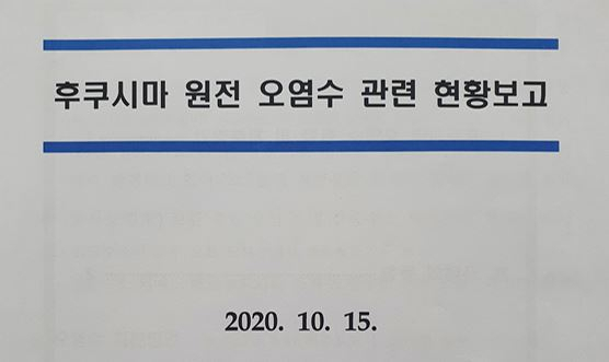 문재인정부보고서