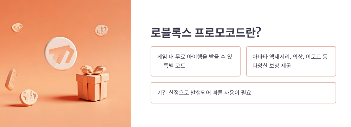 로블록스 프로모코드란?
