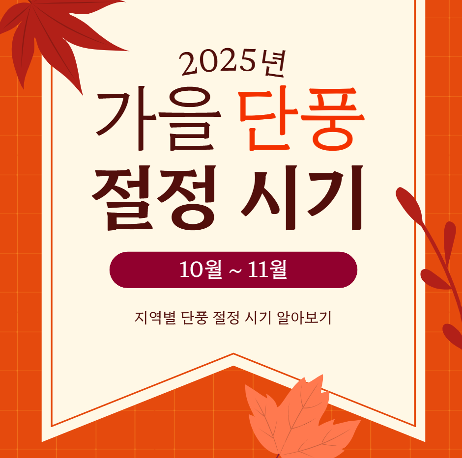 2025년 지역별 단풍 절정시기는 언제?