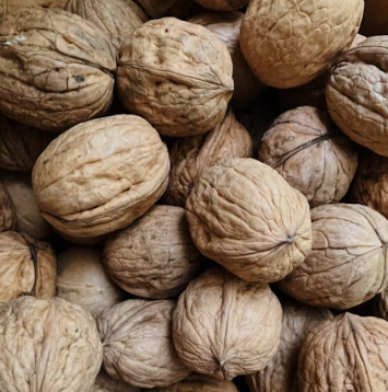 오메가3 많은 음식 식품