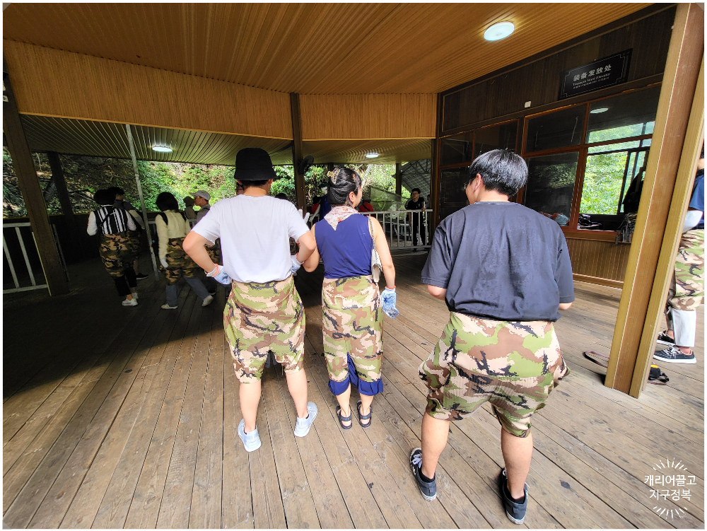 중국 장가계 대협곡